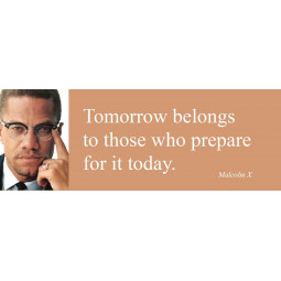 Magnet/Malcolm X